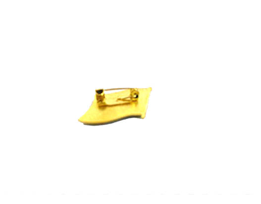 Nimida Indian National Wave design Flag Brass Glass topped Lapel Pin/Brooch / Badge for Clothing Accessories - Large Size