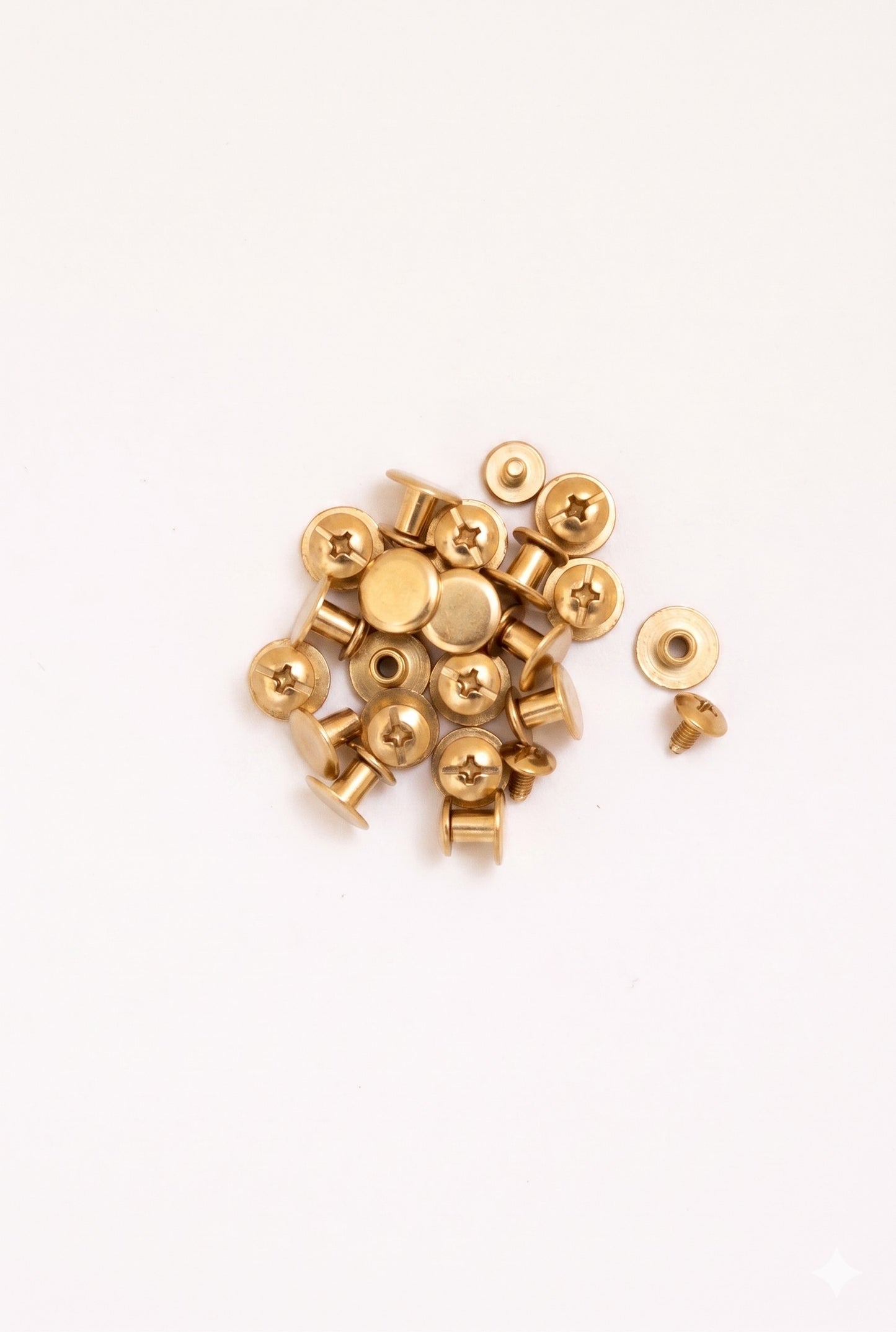 Nimida® Flat Headed Nickel Plated Belt Screw | 10 mm Head | Binding Screw Chicago Screw Rivet Stud - for Buckle Leather Craft Bag Belt Flat Headed Nickel Plated Belt Screw Binding Screw Chicago Screw Rivet Stud - for Buckle Leather Craft Bag Belt | Golden
